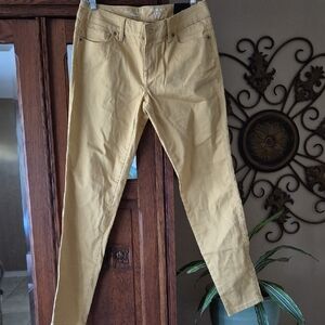 Bnwt Limited Women's Skinny Jeans in Gold